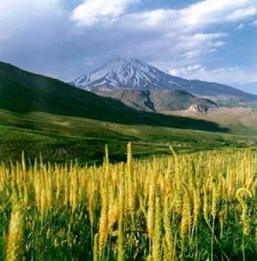 Armenia, Azerbaijan, Turkmenistan, Afghanistan, Pakistan, Oman, Các Tiểu vương quốc Ả-rập Thống nhất, Kuwait, Iraq và Thổ Nhĩ Kỳ là các nước láng giềng của Iran. Ảnh: Wikipedia.
