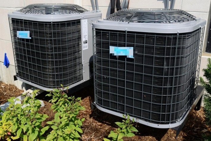 Một bác sĩ thú y địa phương cho biết, rắn mẹ có thể đã đẻ trứng trong chiếc máy lạnh không được sử dụng nhiều tháng nhà ông Shradhanand. Ảnh: UPI.