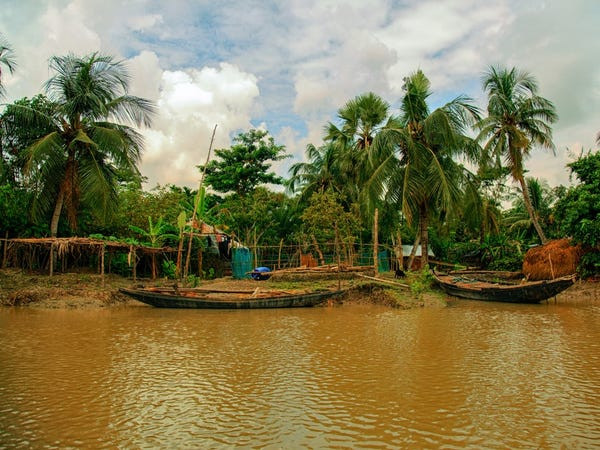 Rừng ngập mặn lớn nhất thế giới ở Bangladesh.