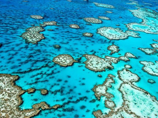 Rạn san hô Great Barrier ở Australia là hệ thống rạn san hô lớn nhất thế giới.