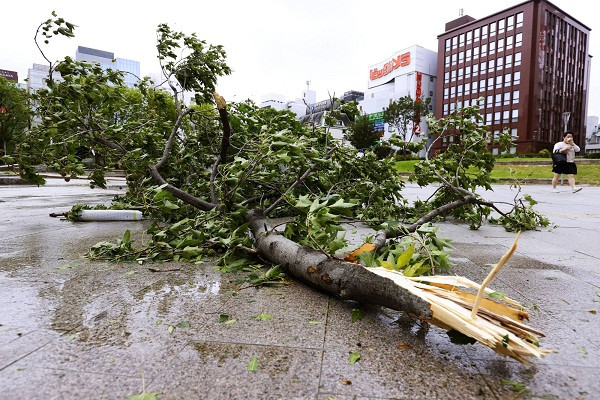 Cành cây to rơi xuống giữa đường tại thành phố Fukuoka. Ảnh: Kyodo.