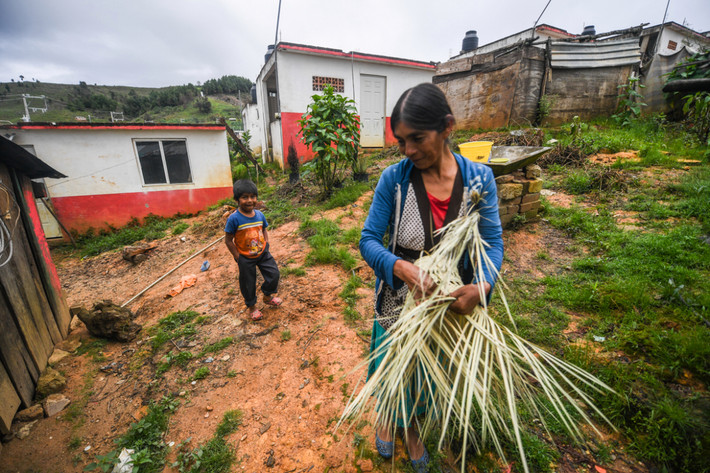 Hiện giờ, thầy giáo 33 tuổi này ghé thăm ngôi làng hai tuần một lần, mang theo tài liệu giáo dục và gặp gỡ các phụ huynh trong cộng đồng ở độ cao 3.000 mét so với mực nước biển tại bang Guerrero.