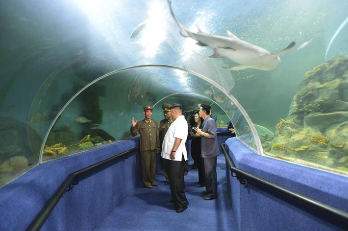 Ông Kim Jong-un có mặt tại trại hè Thiếu nhi Quốc tế Songdowon hồi tháng 7/2014.