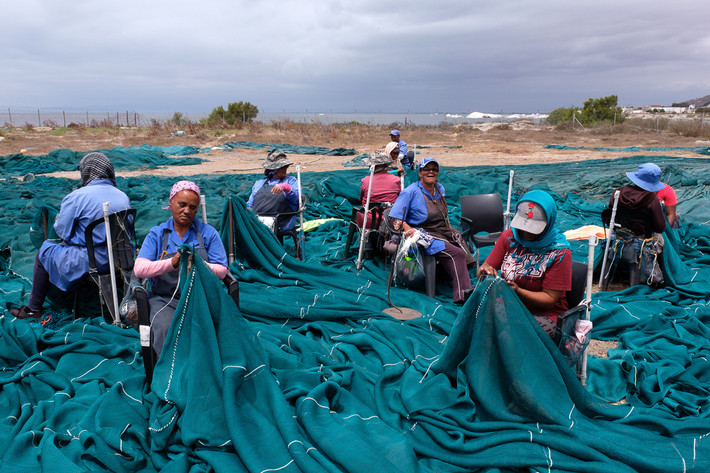 Theo Al Jazeera, vài tuần trước khi ca nhiễm COVID-19 đầu tiên được xác nhận ở Nam Phi, ngư dân trong làng chài nhỏ tại khu định cư St Helena Bay đã cảm nhận được những tác động tiêu cực của đại dịch này với cuộc sống của họ. (Nguồn ảnh: Al Jazeera)