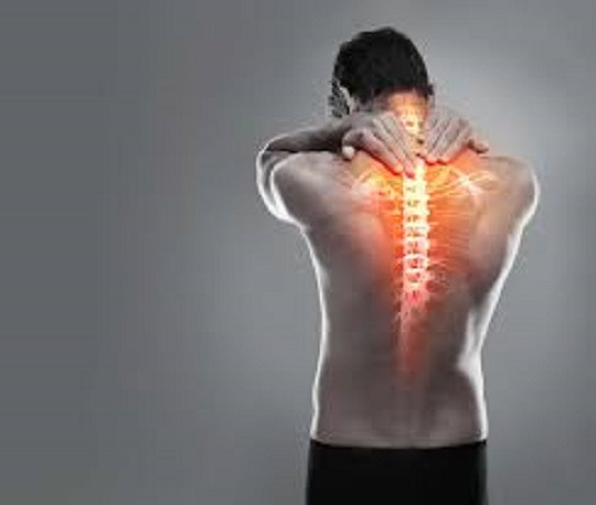 6. Giúp xương chắc khỏe: Canxi và magiê trong đậu đỏ có thể giúp xương chắc khỏe và ngăn ngừa loãng xương. Đáng nói, folate trong đậu giúp duy trì sức khỏe khớp, làm giảm nguy cơ mắc các bệnh về xương, bao gồm làm mềm xương và loãng xương. Một số nghiên cứu cũng chỉ ra rằng đậu đỏ có thể tốt cho những người bị bệnh gút - do hàm lượng protein của chúng.