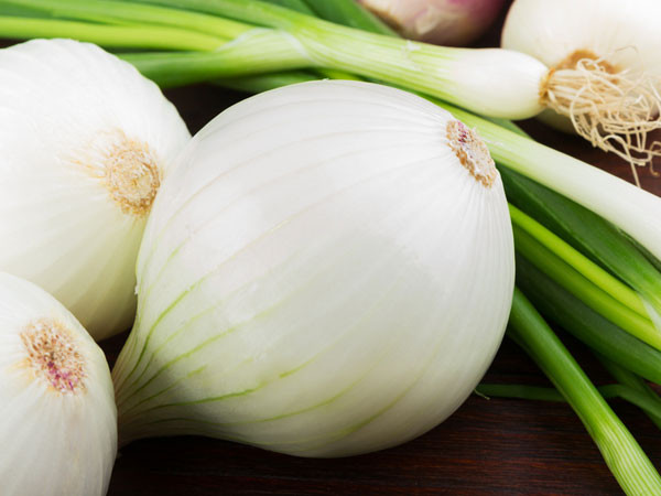 Chiết xuất hành tây cũng làm giảm tổng mức cholesterol ở loài chuột mắc tiểu đường. Những con chuột ở nhóm đối chứng tăng cân. Ảnh: Boldsky.
