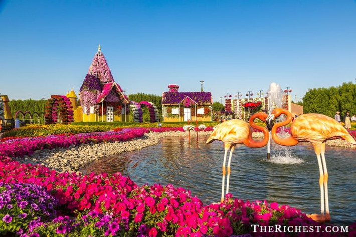Dubai Miracle Garden tọa lạc trong khu vui chơi giải trí Dubailand là vườn hoa thiên nhiên lớn nhất thế giới, có diện tích hơn 72.000 m2.