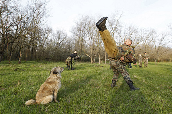 Các bài tập thể chất rất quan trọng. Ảnh: Học sinh trường General Yermolov Cadet học các bài tập thể chất ở khu vực gần làng Sengileyevskoye, ngoại ô phía nam thành phố Stavropol, ngày 13/4/2014.