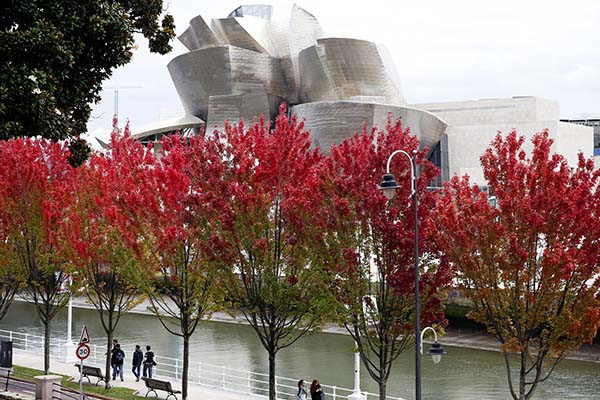 Bên ngoài viện bảo tàng Guggenheim ở Bilbao, Tây Ban Nha, hàng cây chuyển sang màu đỏ khi mùa thu tới. Ảnh: EPA.