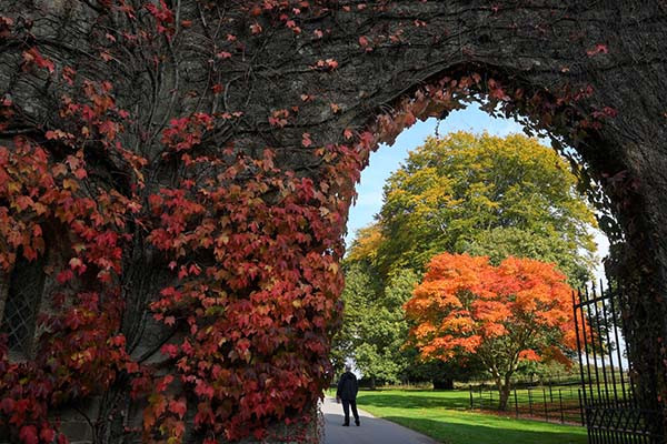 Cảnh vật nhuốm màu thu ở Stourhead, Anh. Ảnh: Reuters.