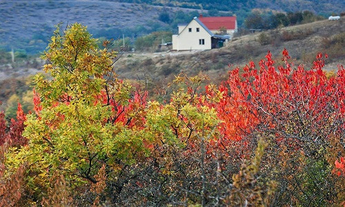 Màu sắc rực rỡ của cây cối vào mùa thu ở làng Klinovka, Simferopol.