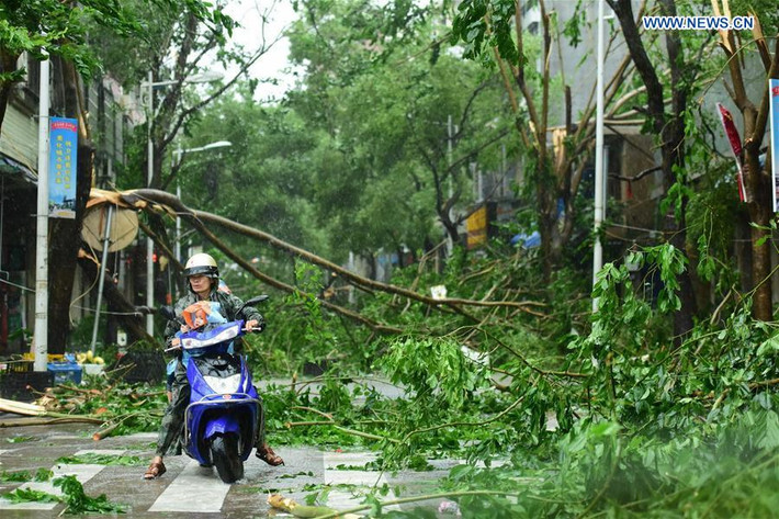 Cây cối đổ nghiêng ngả trên một con đường ở Hải Nam. Ảnh: News.cn.