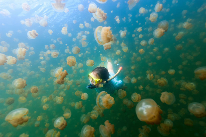Nữ du khách lặn dưới hồ sứa ở Palau. Bơi lặn trong hồ cùng với hàng trăm nghìn con sứa là trải nghiệm thú vị đối với nhiều du khách khi tới quốc gia này.
