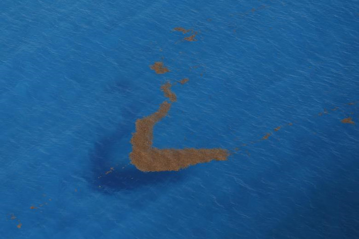 Ảnh chụp tảo Sargassum từ trên cao ngoài khơi đảo Cancun, Mexico. Ảnh: Reuters.