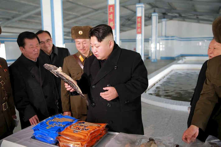 Ông Kim Jong-un thăm trại cá ở Bình Nhưỡng ngày 12/12/2015.