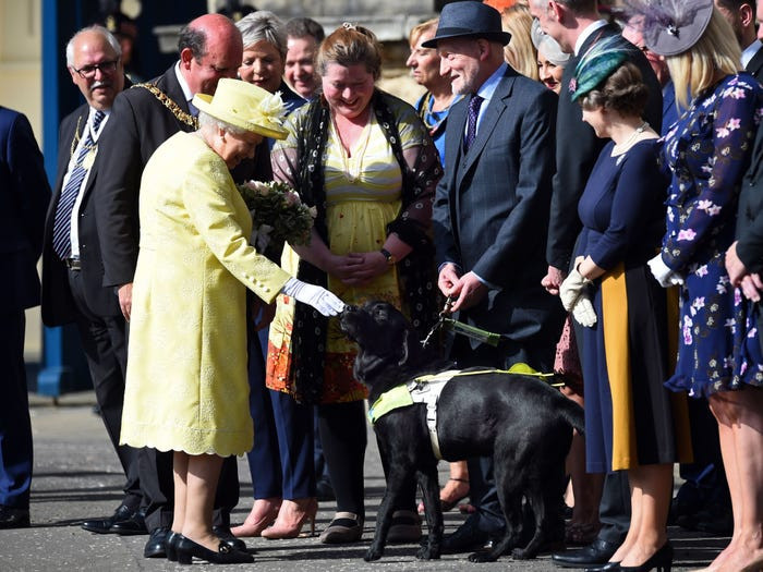 Nữ hoàng Anh Elizabeth II nổi tiếng là người có tình yêu thương đối với động vật. (Nguồn ảnh: Reuters)