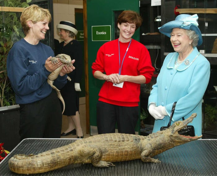 Nữ hoàng Elizabeth II tại trường Đại học Nông nghiệp Burton gần Beverley, Yorkshire.