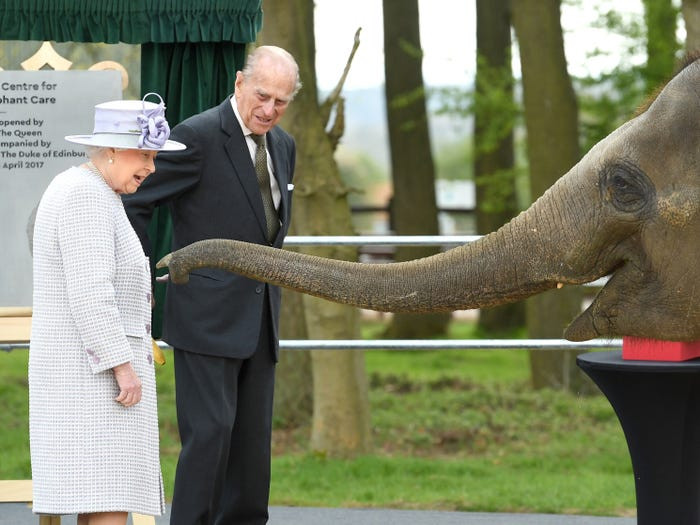 Nữ hoàng Elizabeth II và Hoàng thân Philip lại gần một chú voi khi thăm sở thú Whipsnade ở Dunstable, Anh, hồi năm 2017.