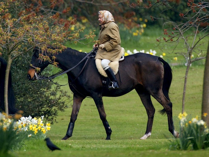 Ở tuổi 94, Nữ hoàng Elizabeth II vẫn thích cưỡi ngựa.