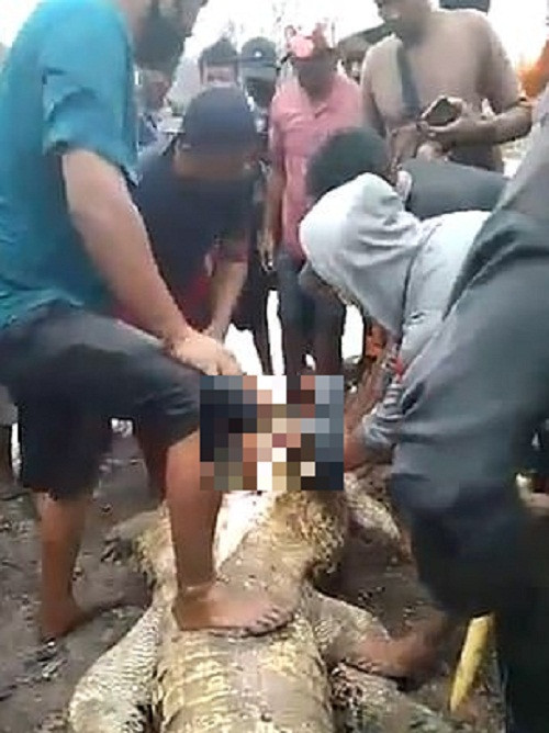 Ngay sau đó, người dân địa phương trình báo sự việc với cảnh sát và họ mau chóng mở cuộc tìm kiếm nạn nhân. Ảnh: Daily Mail.