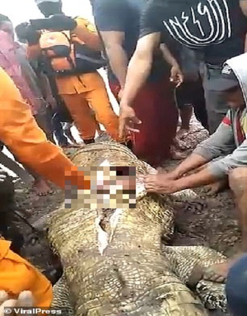 Amiruddin, người đứng đầu Cơ quan Tìm kiếm và Cứu hộ Tarakan, cho biết: "Cảnh sát đã bắn hạ con cá sấu. Sau đó, họ mổ bụng nó và phát hiện nhiều phần thi thể của nạn nhân bên trong". Ảnh: Daily Mail.