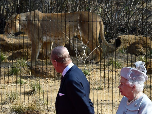 Hoàng thân Philip và Nữ hoàng Elizabeth II thăm sở thú ở London năm 2016. Mời độc giả xem thêm video: Bốn thế hệ Hoàng gia Anh cùng chụp ảnh sau 120 năm (Nguồn video: VTC14)