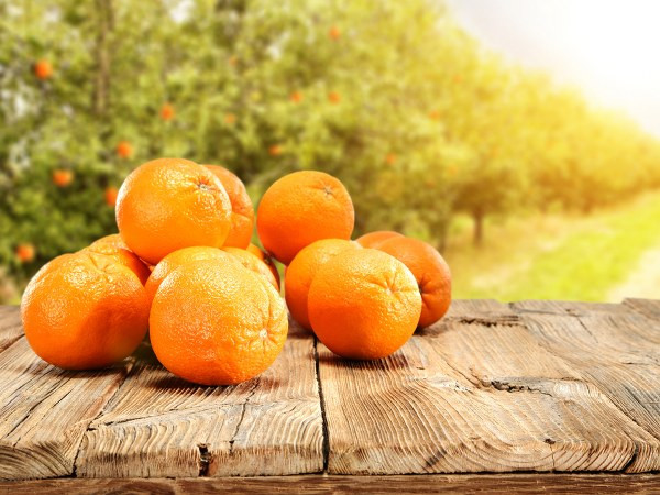 5. Cam: Ngoài hàm lượng vitamin C cao, cam còn chứa một lượng đường tự nhiên vừa phải được chuyển hóa thành glucose - "nguồn nhiên liệu tốt nhất" của não. Ảnh: Boldsky.