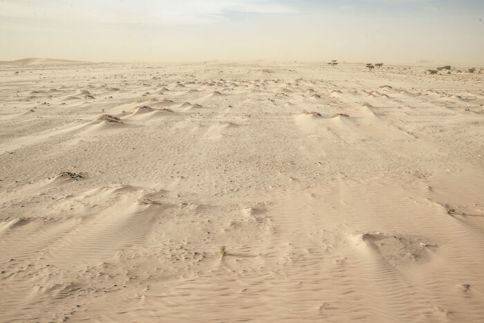 Sa mạc Sahara nhìn từ toa tàu chở quặng sắt Mauritania.