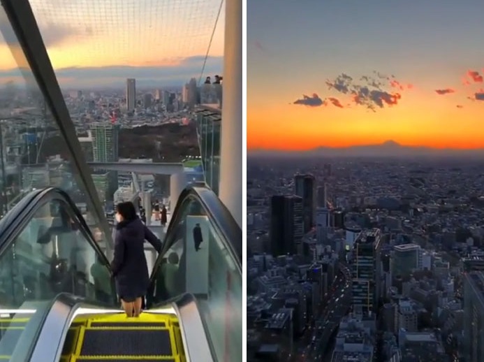 Có những cầu thang cuốn ngoài trời siêu cao ở thủ đô Tokyo của Nhật Bản.