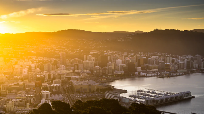New Zealand là một trong những nước xuất khẩu sữa lớn nhất. Ảnh: Telegraph.