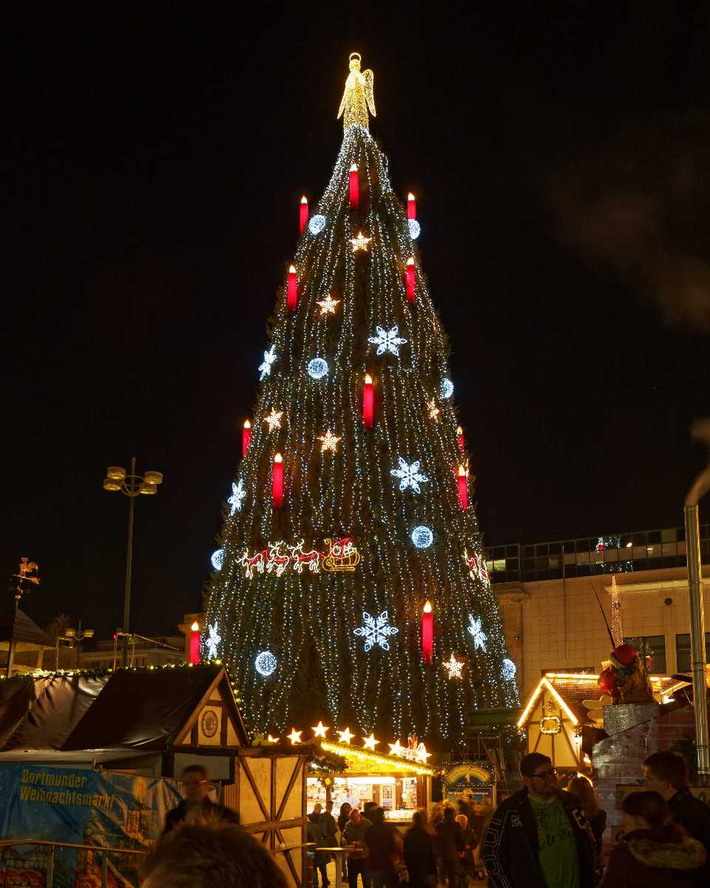 Truyền thống cây thông Noel được cho là bắt đầu vào thế kỷ 16 ở Đức.