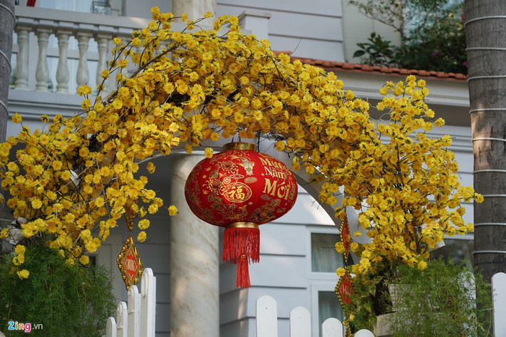 Cổng vào nhà được kết hoa mai tỉ mỉ.