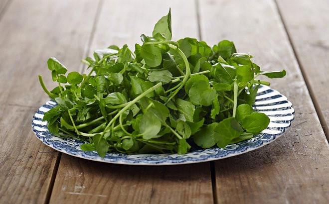Chuyên gia dinh dưỡng Joanna Gregg nói thêm: “Với đặc tính chống oxy hóa mạnh, lợi ích của cải xoong bao gồm cả giảm tổn thương mô liên quan đến sự phát triển của một số bệnh ung thư.