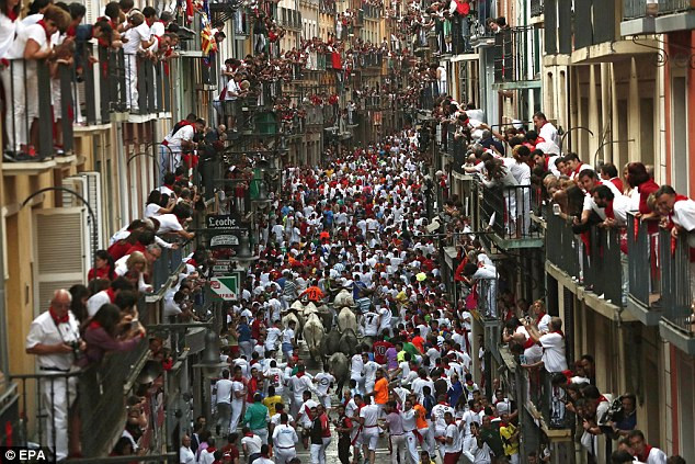 Những chú bò tót chạy qua đường phố Mercaderes trong lễ hội đua bò tót San Fermin 2016 ở Pamplona, Tây Ban Nha.