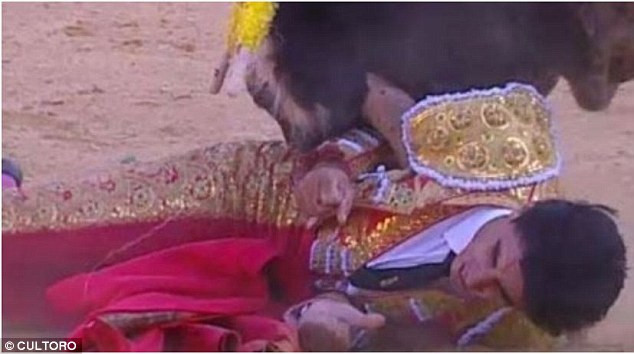 Con bò tót 87 tuổi có tên Lorenzo đã húc Barrio lên cao rồi sau đó dùng sừng đâm liên tiếp vào ngực của anh.