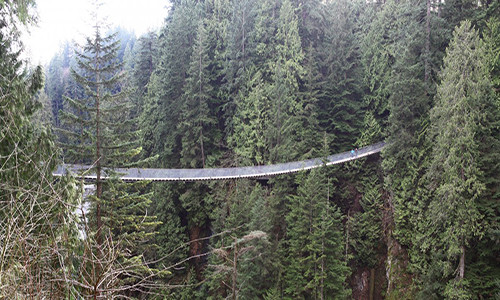 Cầu treo Capilano ở Bắc Vancouver, British Columbia, bắc qua khu rừng rậm rạp ở Canada.