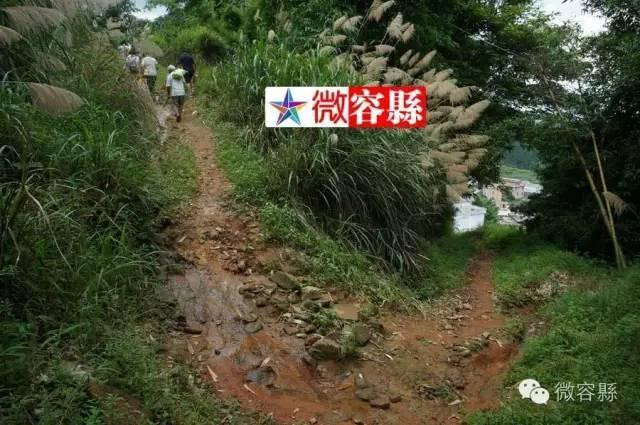 Đông con lại không có thu nhập ổn định, cuộc sống của cặp vợ chồng nuôi 15 đứa con lại càng khó khăn hơn. Ảnh: Con đường dốc dẫn tới nhà của Liang.