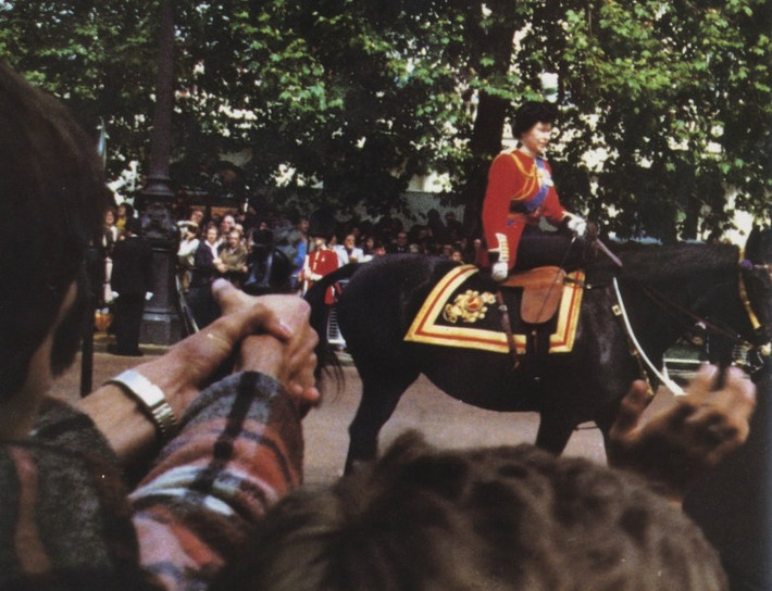 Ngày 13/6/1981, Nữ hoàng Anh Elizabeth II tham dự sự kiện Trooping the Color của nước Anh. Khi Nữ hoàng đang tiến tới đám đông thì đột nhiên 6 tiếng súng nổ vang lên. Marcus Sarjeant được xác định là kẻ ám sát hụt Nữ hoàng.