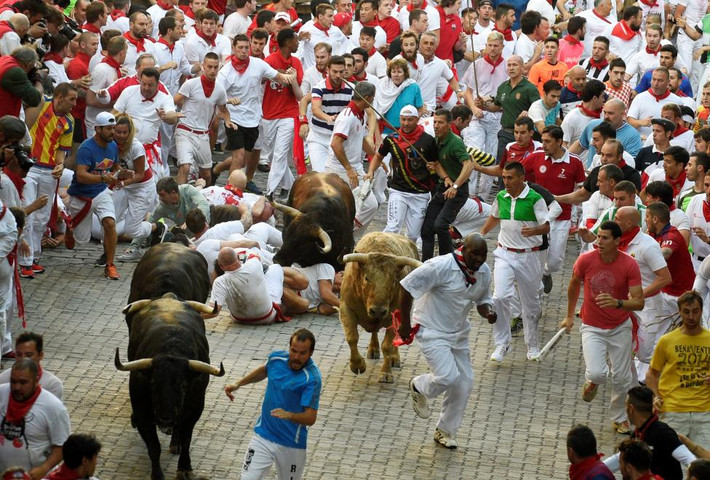 Trong lễ hội bò tót San Fermin ở Tây Ban Nha, các chú bò đực hung hãn sẽ được thả chạy tự do trên đường để tới trường đấu bò. Những người tham gia trên đường sẽ phải chạy “chối chết" để tránh bị bò húc phải.