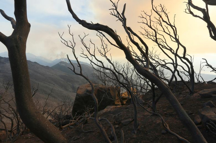 Cảnh ảm đạm trên ngọn đồi Santa Barbara, Califronia, sau đám cháy Cave ngày 26/11/2019.