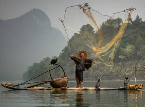 Cảnh ngư dân đánh bắt cá trên sông Li ở Quế Lâm.
