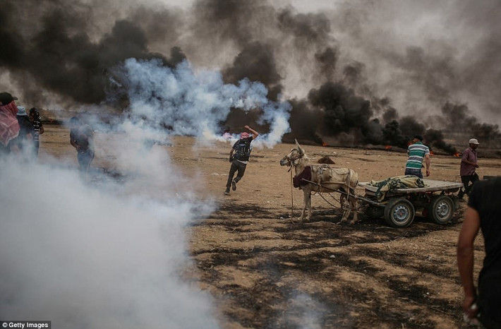 Được biết, các cuộc biểu tình của người Palestine, nhằm phản đối sự chiếm đóng của Israel và quyết định chuyển Đại sứ quán từ Ten Aviv tới Jerusalem của Mỹ dự kiến vào ngày 15/5 tới, đã bước sang tuần thứ sáu liên tiếp.