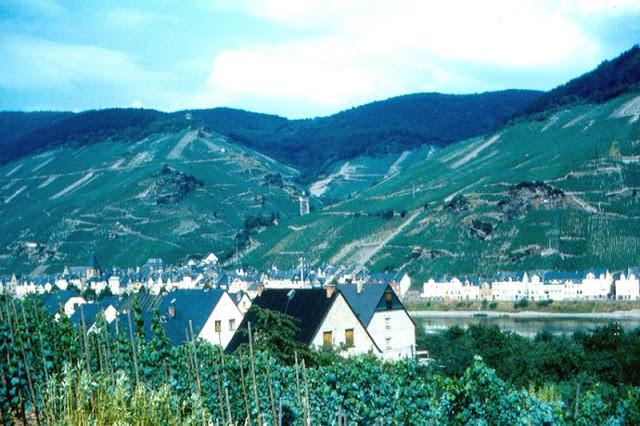 Đô thị Zell bên sông Mosel.
