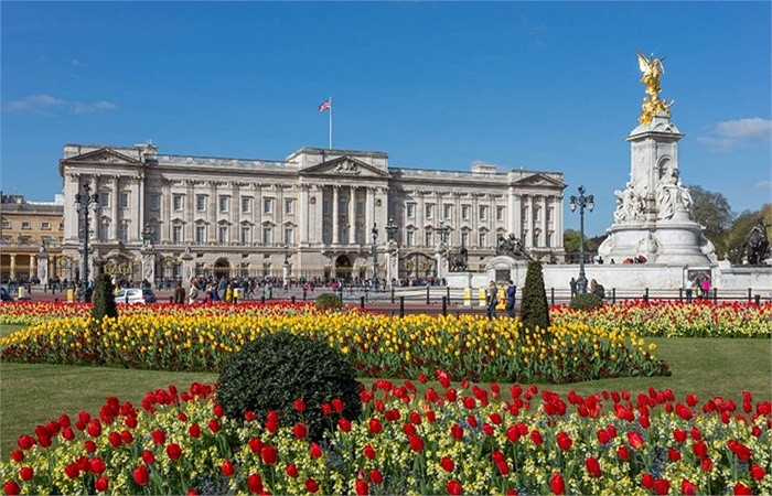 Nếu đã từng đến thăm cung điện Buckingham hay thấy nó trên phim ảnh, có lẽ bạn biết nó rộng lớn đến mức nào. Với diện tích 77000 mét vuông, 775 phòng, số lượng phục vụ trong gia đình Hoàng gia lên tới 800 người bao gồm quản gia, đầu bếp, người giúp việc, an ninh và thậm chí là nhân viên quản lí đồng hồ.