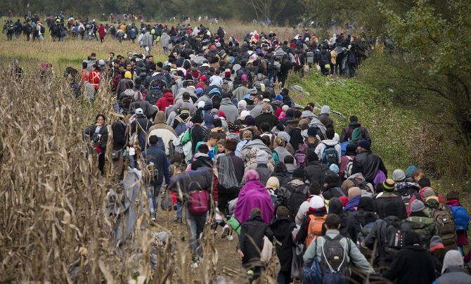 Các di dân đi bộ qua một cánh đồng ở Kljuc Brdovecki, Croatia ngày 23/10/2015.