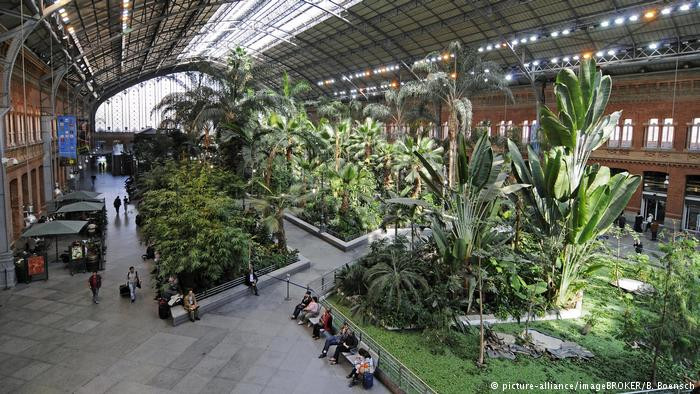 Đến với nhà ga Atocha ở Madrid, Tây Ban Nha, hành khách như lạc vào một khu vườn sinh thái.