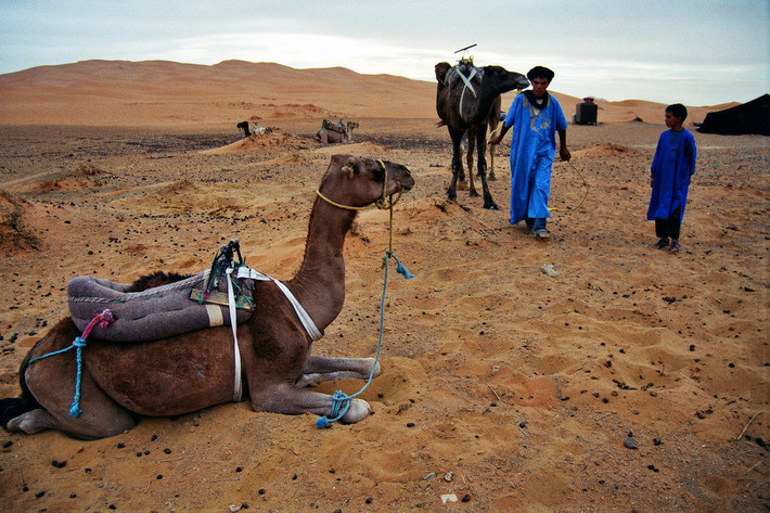 Một người đàn ông và bé trai bắt đầu ngày mới trên cồn cát Erg Chebbi ở Ma-rốc năm 2003.