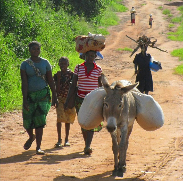 Đứng thứ hai trong danh sách này là một quốc gia Châu Phi nữa – Mozambique với GDP bình quân đầu người ước tính chỉ đạt 486 USD trong năm vừa qua. Cơ sở hạ tầng yếu kém, tình trạng thiếu các dịch vụ cơ bản cùng trang thiết bị máy móc nông nghiệp,…là những yếu tố gây tổn hại đến sự tăng trưởng kinh tế đất nước này.
