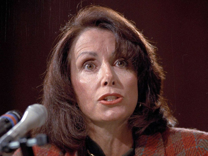 Một trong những lực lượng ủng hộ tài chính sớm nhất và nhiều nhất của bà Pelosi chính là Công ty E & J Gallo Winery, nơi sản xuất 25% lượng rượu vang ở Mỹ. Ngoài ra, bà Pelosi còn sở hữu hai vườn nho ở California.