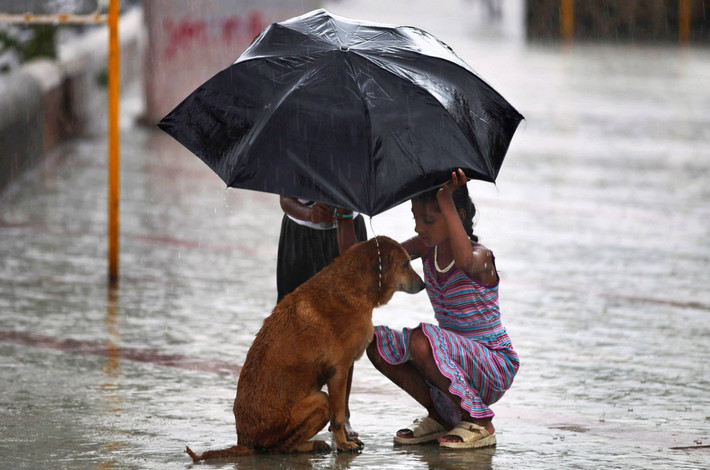 Bé gái dùng ô của mình để che cho một chú chó dưới trời mưa ở Mumbai, Ấn Độ. Ảnh: IM.